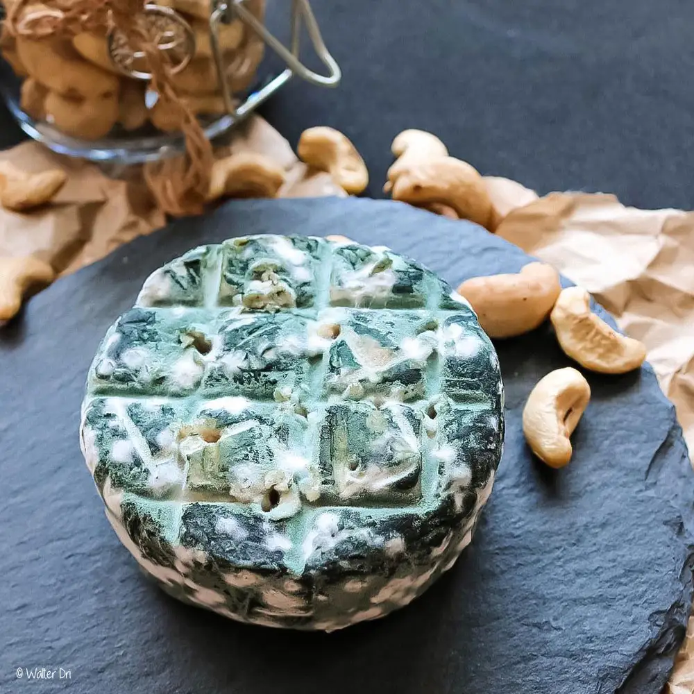 formaggio vegano
